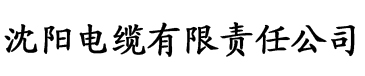 亚洲国产在线二区三区电缆厂logo